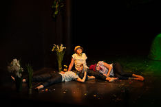 Envolées Fantaisistes - galerie image-6